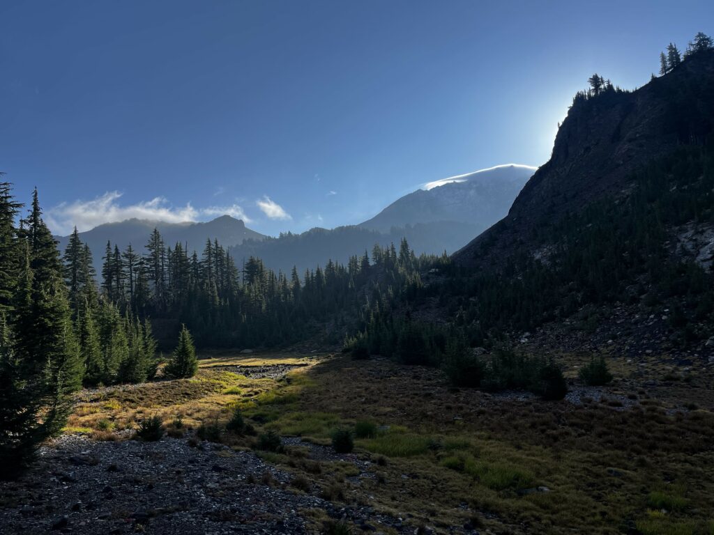 PCT Tag 114