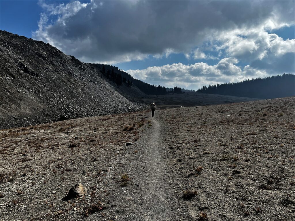 PCT Tag 114