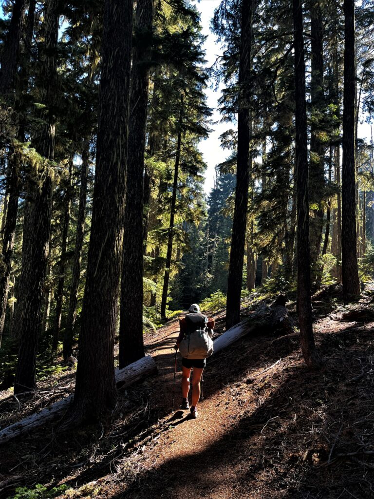 PCT Tag 115