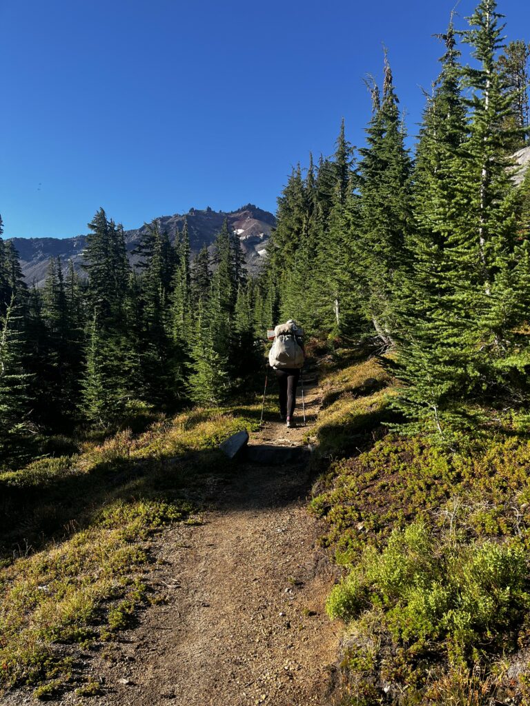 PCT Tag 116