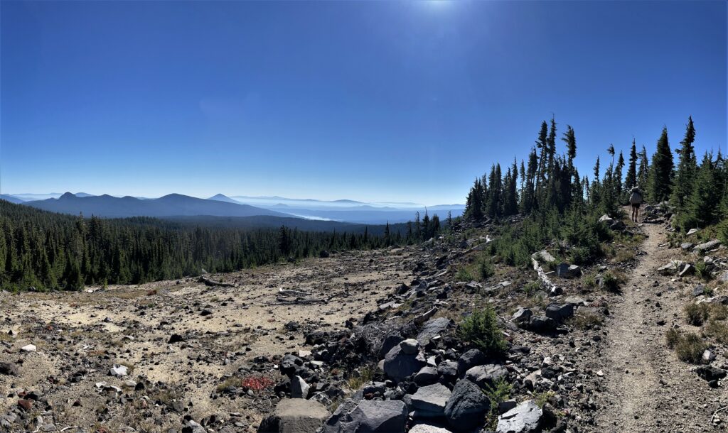 PCT Tag 116