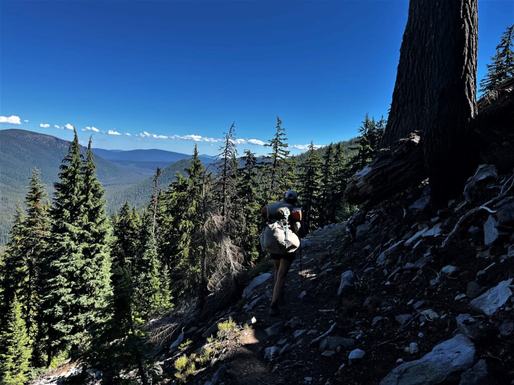 PCT Tag 117