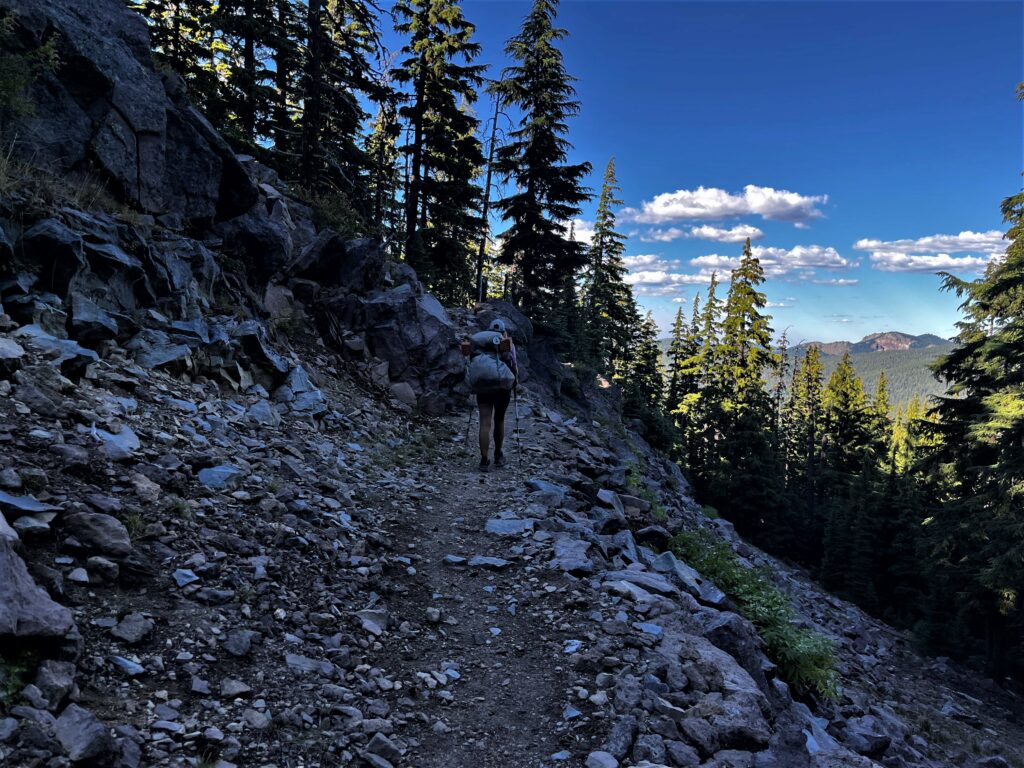 PCT Tag 117