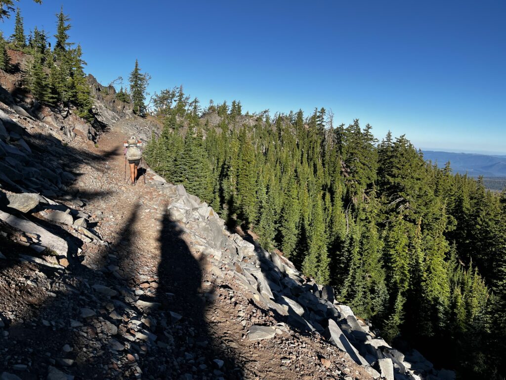PCT Tag 118