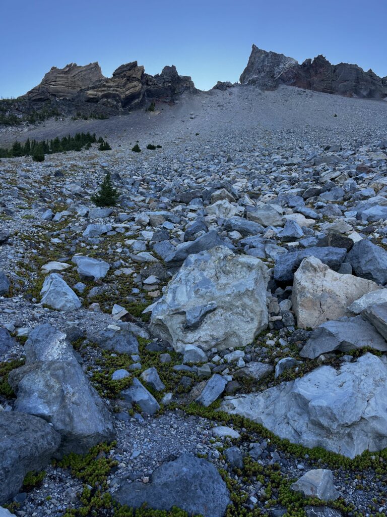 PCT Tag 118