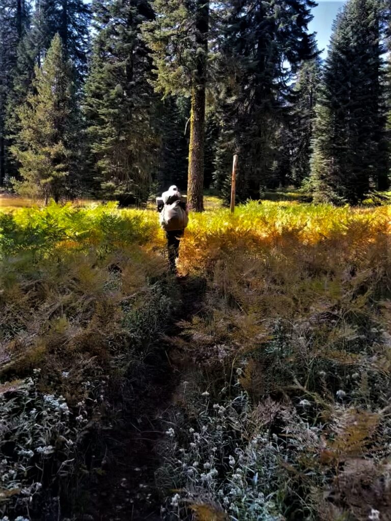 PCT Tag 123