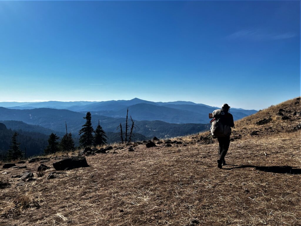 PCT Tag 124