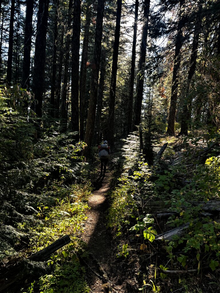PCT Tag 124