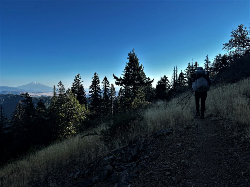PCT Tag 124