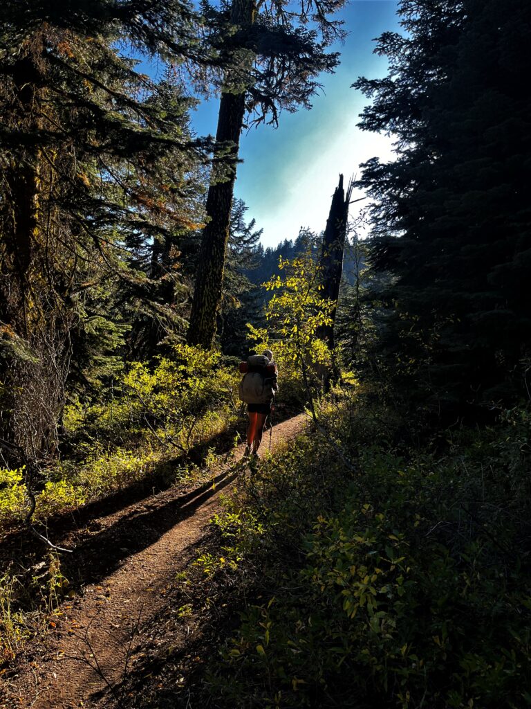 PCT Tag 126