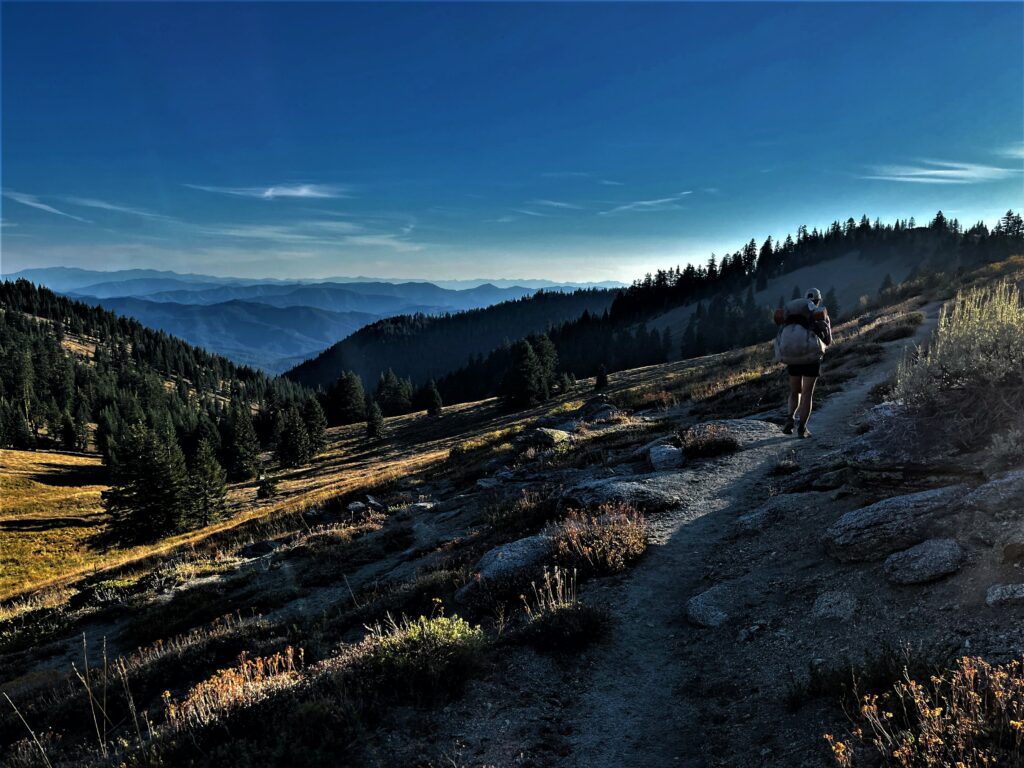 PCT Tag 126