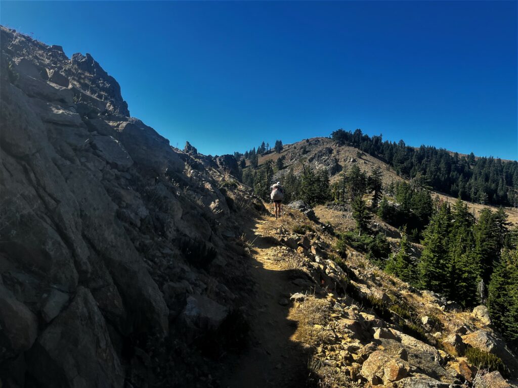 PCT Tag 127