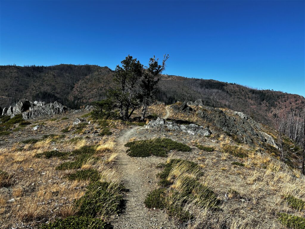 PCT Tag 128