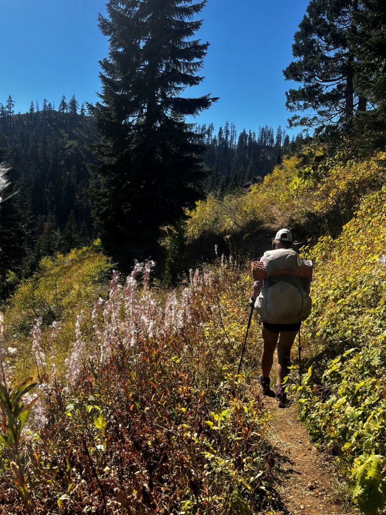 PCT Tag 128