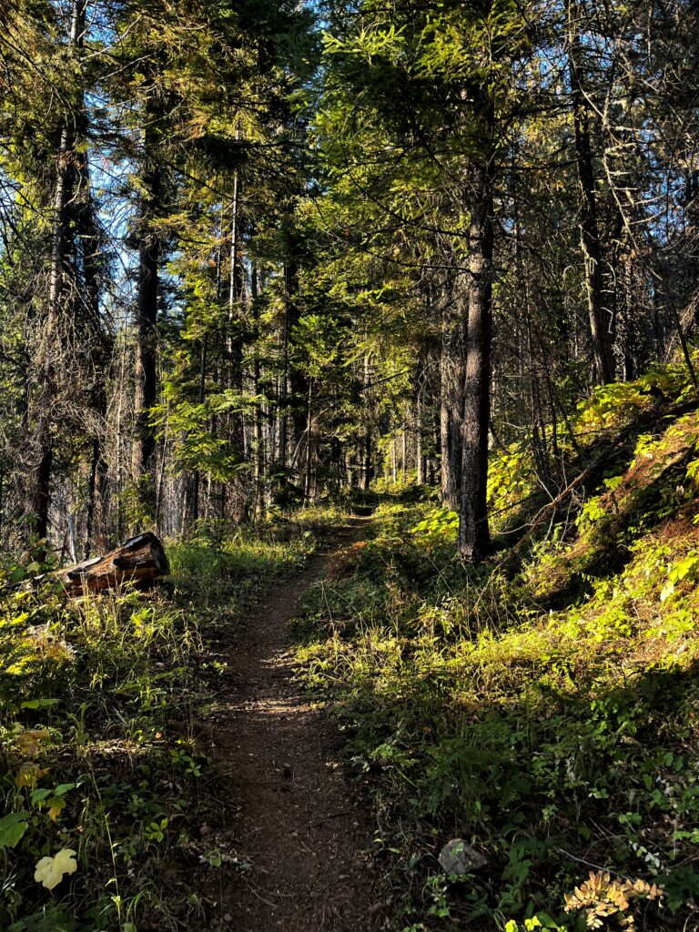PCT Tag 130