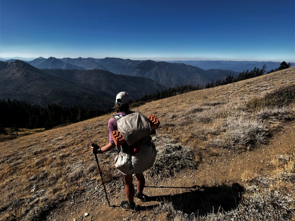 PCT Tag 130