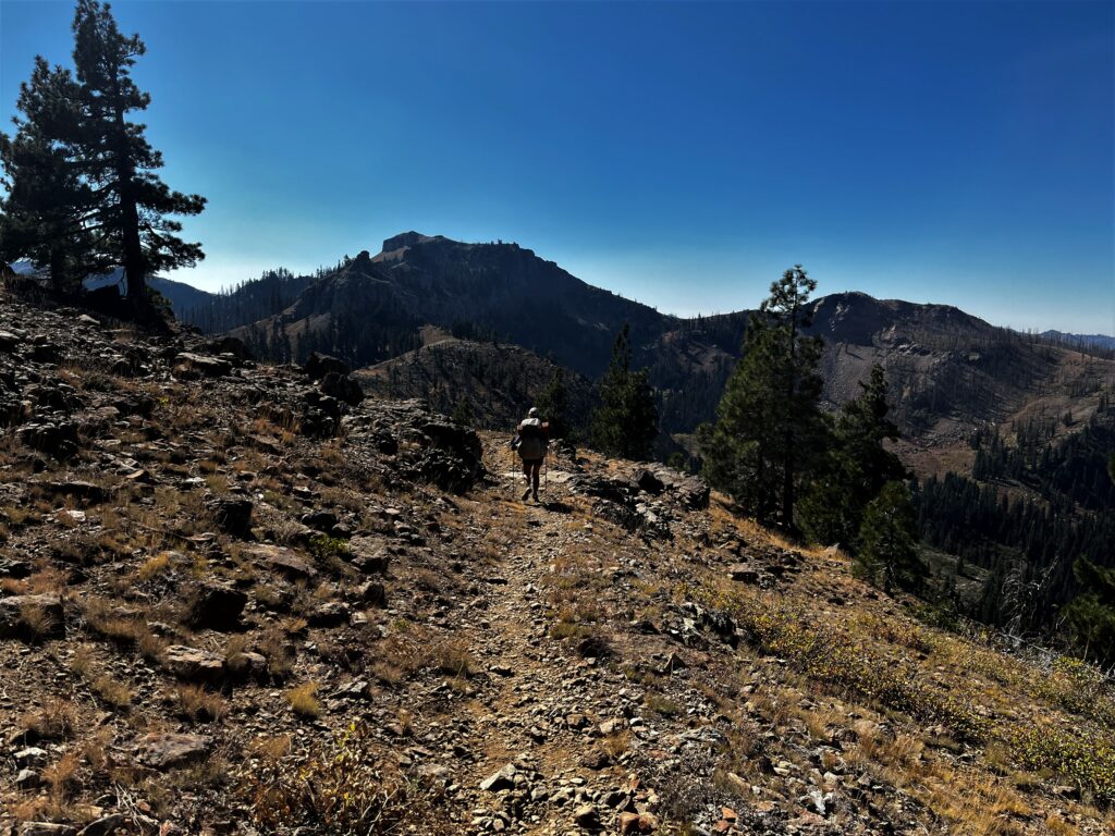 PCT Tag 130