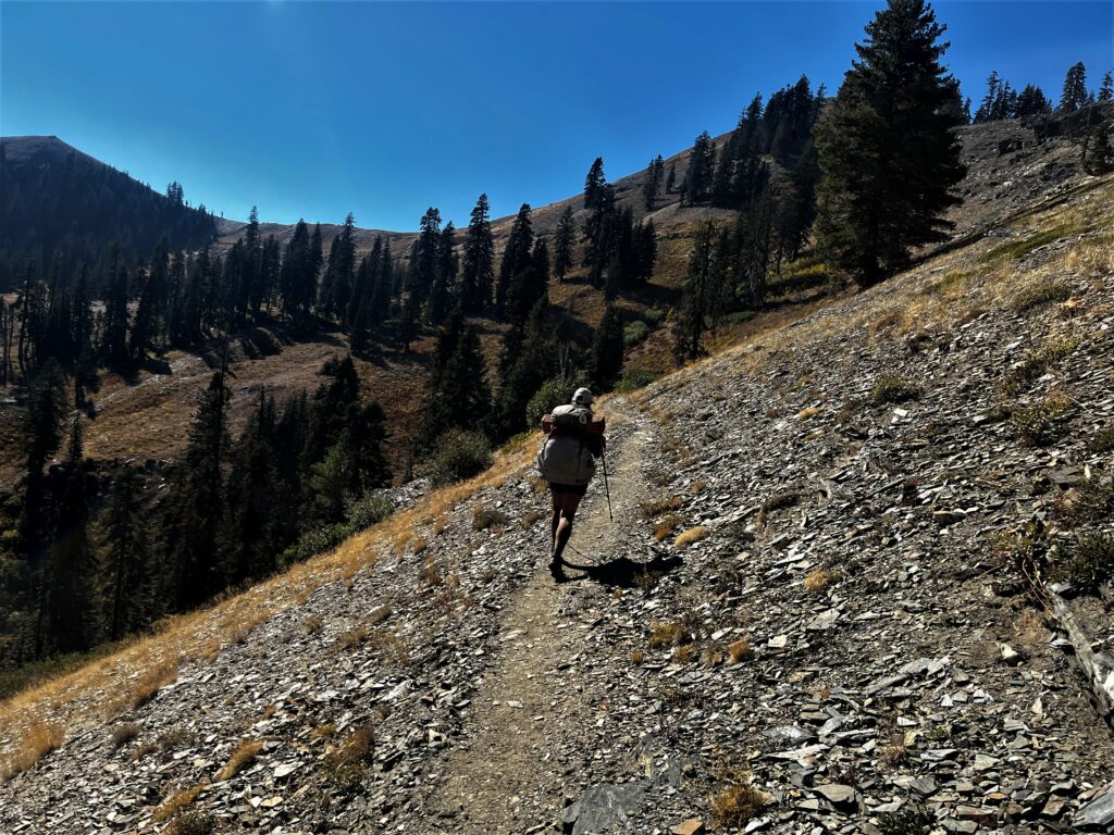 PCT Tag 130