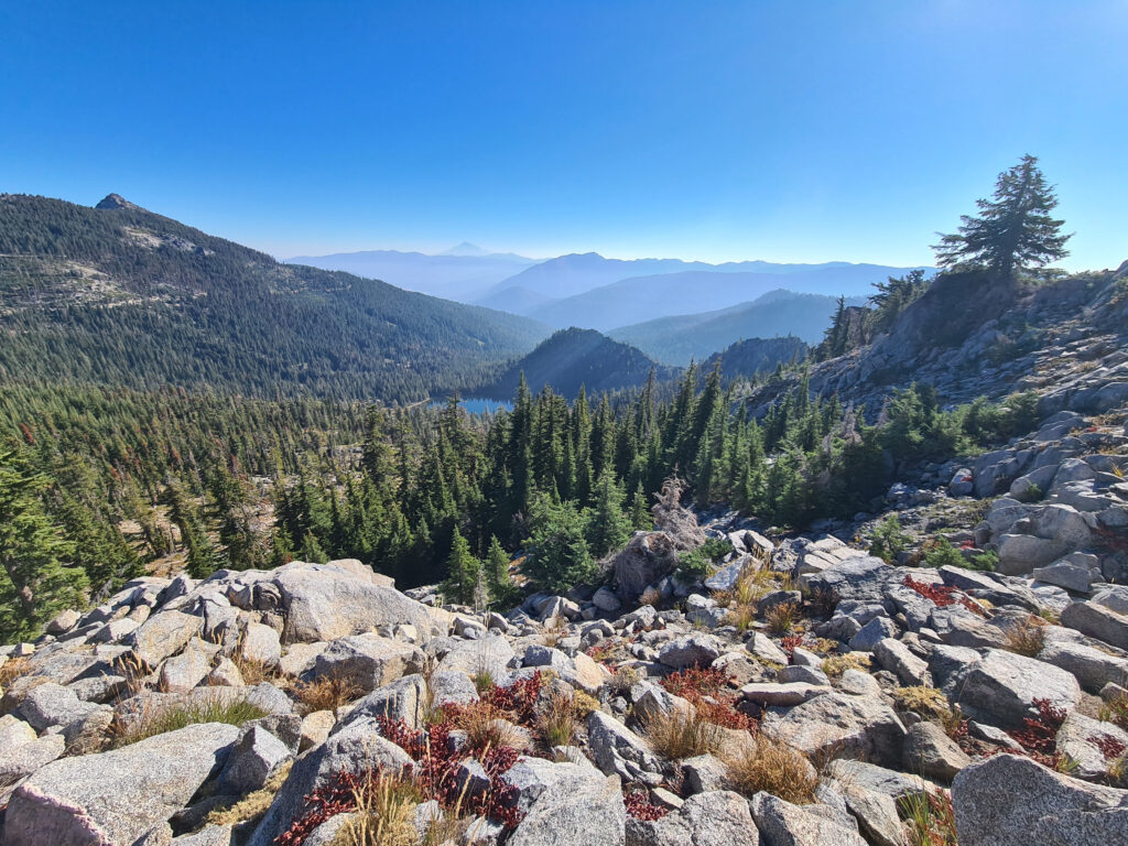 PCT Tag 133
