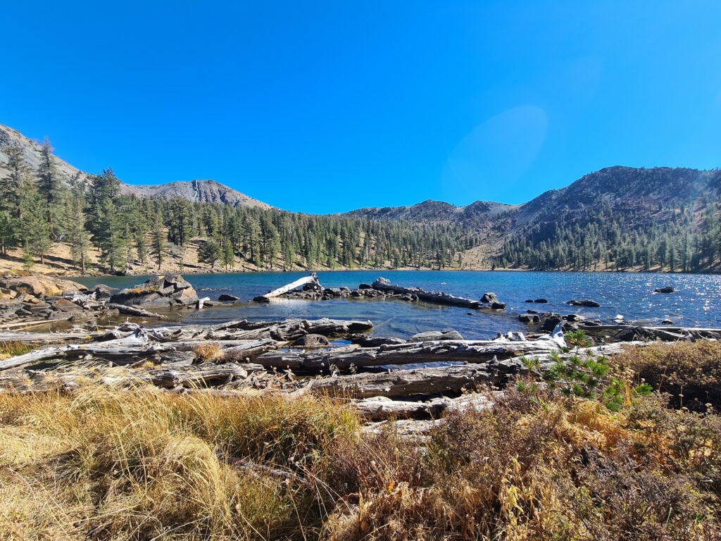 Deadfall Lake