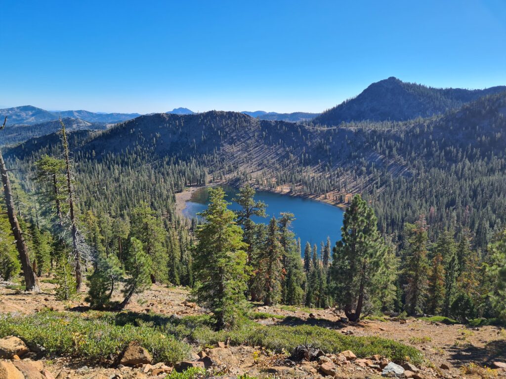 PCT Tag 135