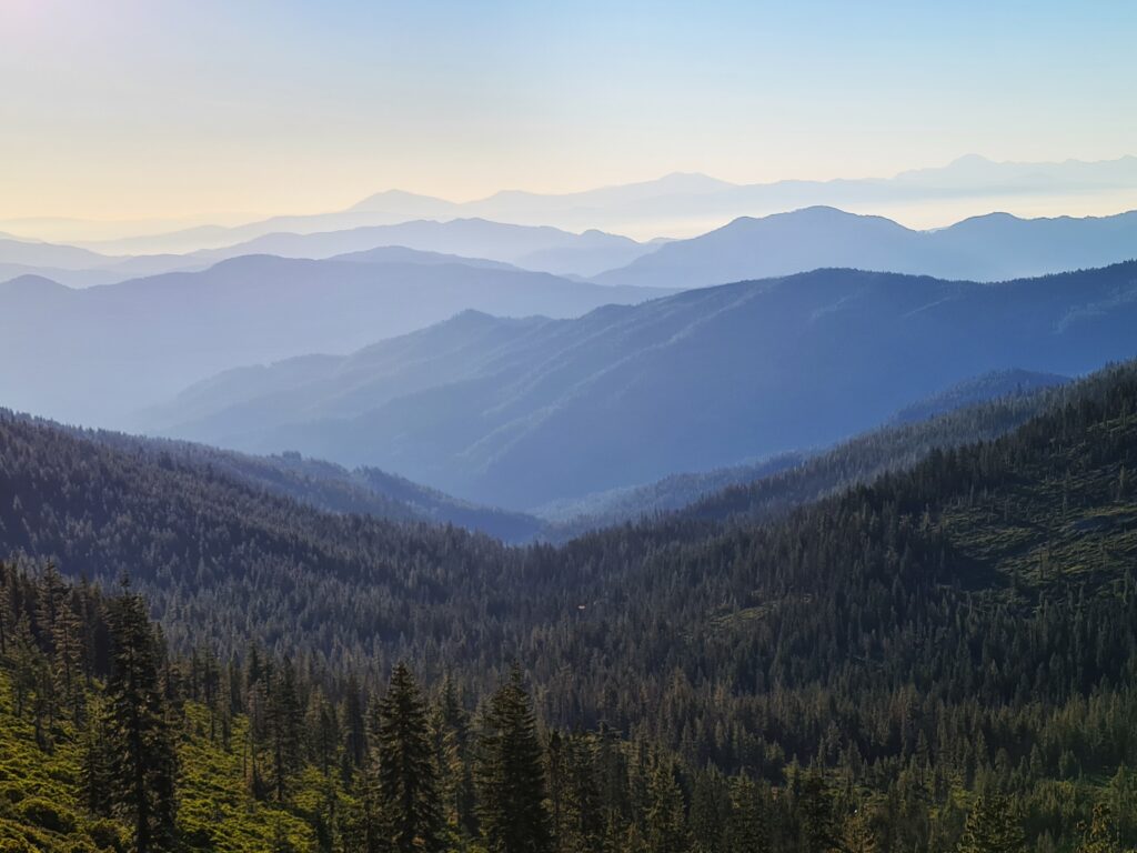 PCT Tag 136