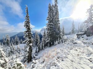 Letzte Momente auf dem Trail