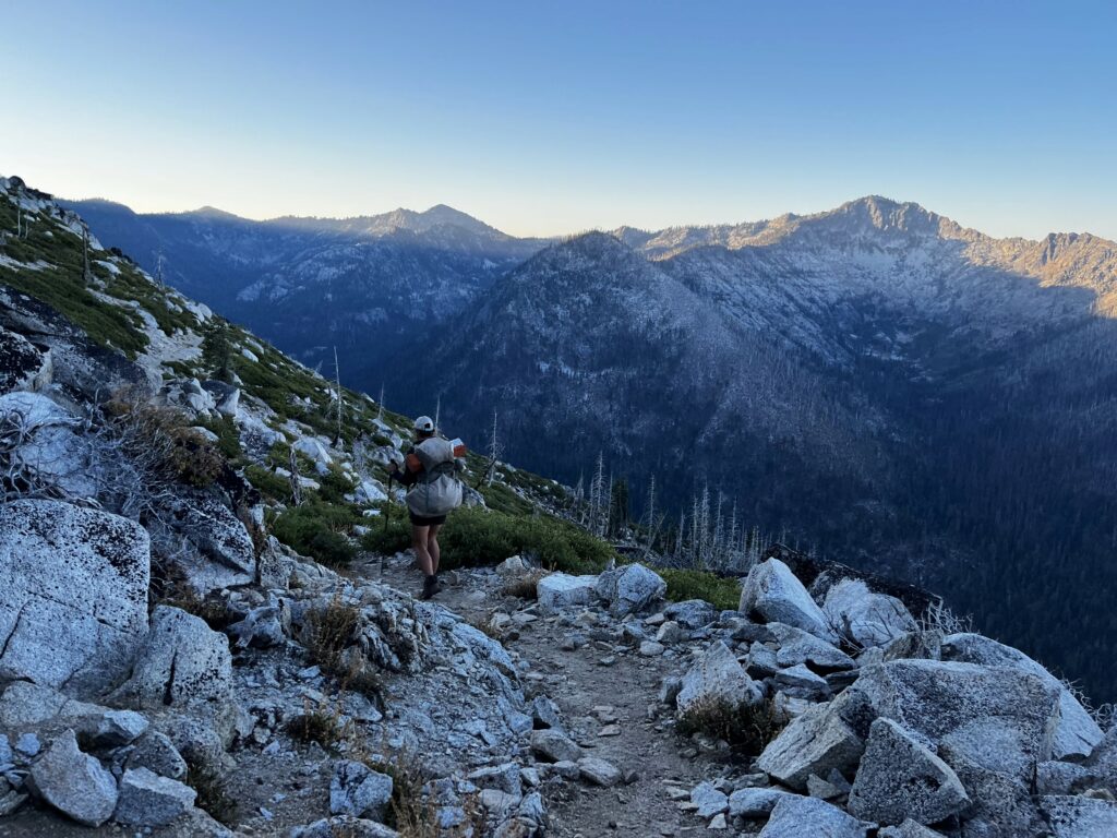 PCT Tag 133
