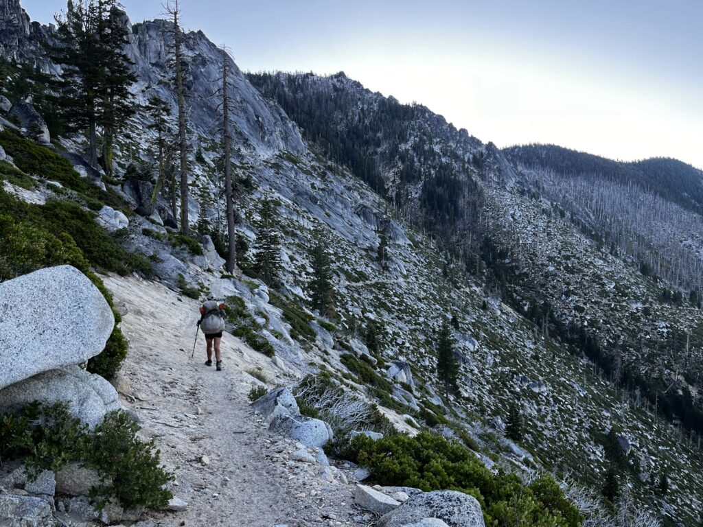 PCT Tag 133