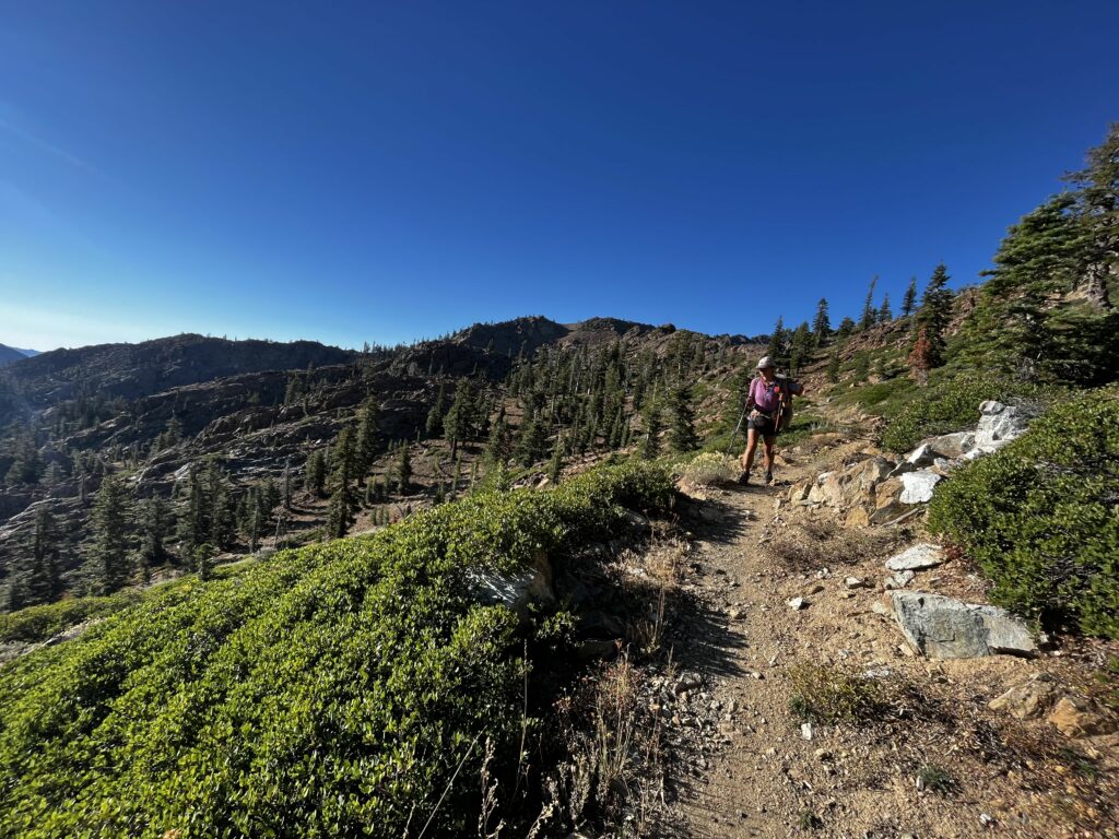 PCT Tag 134