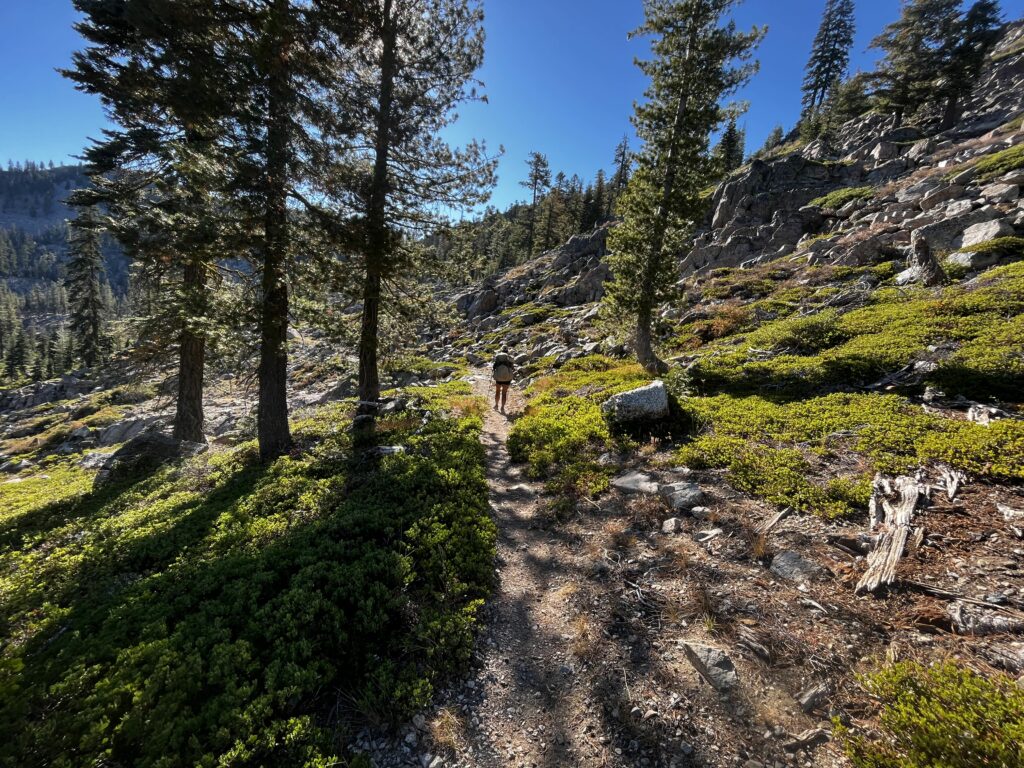 PCT Tag 135