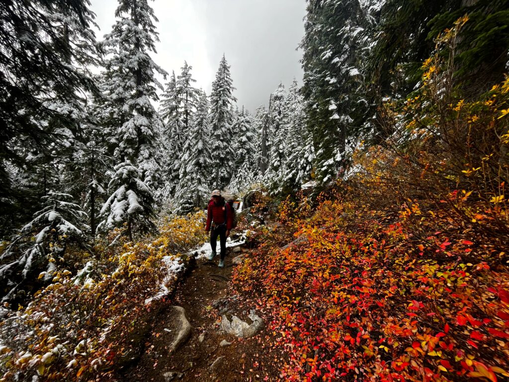 Der Herbst geht in den Winter über