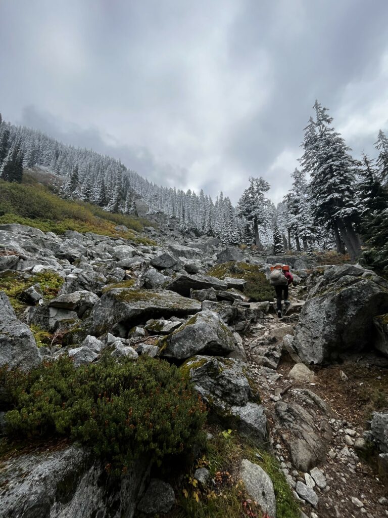 Letztes Foto auf dem PCT