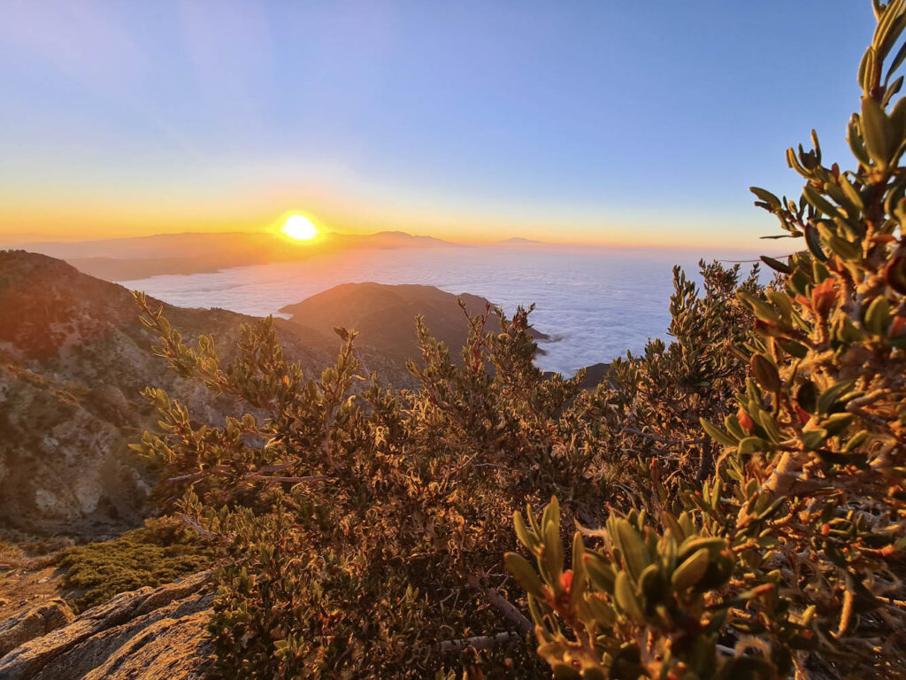 Sonnenaufgang am Cucamonga Peak
