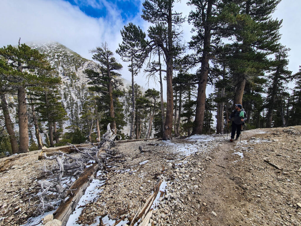 Aufstieg zum San Gorgonio