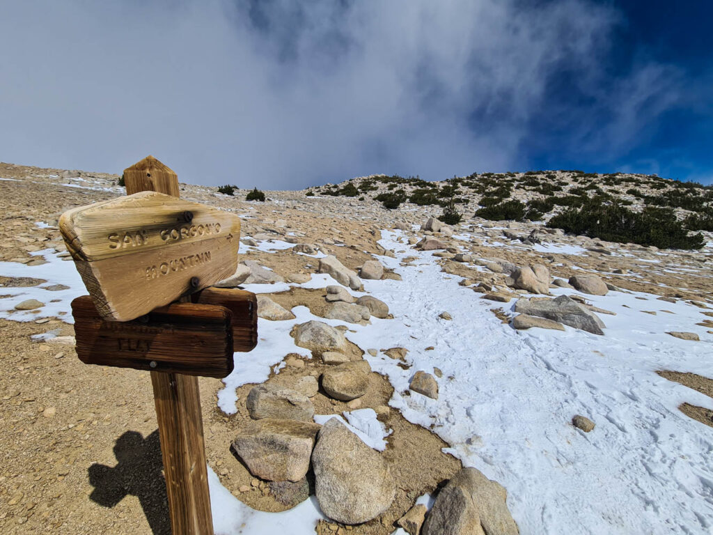 Gipfelsturm auf San Gorgonio