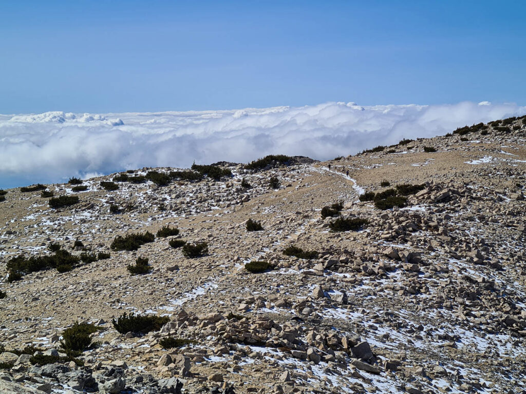Letzte Traverse zum Gipfel von San Gorgonio