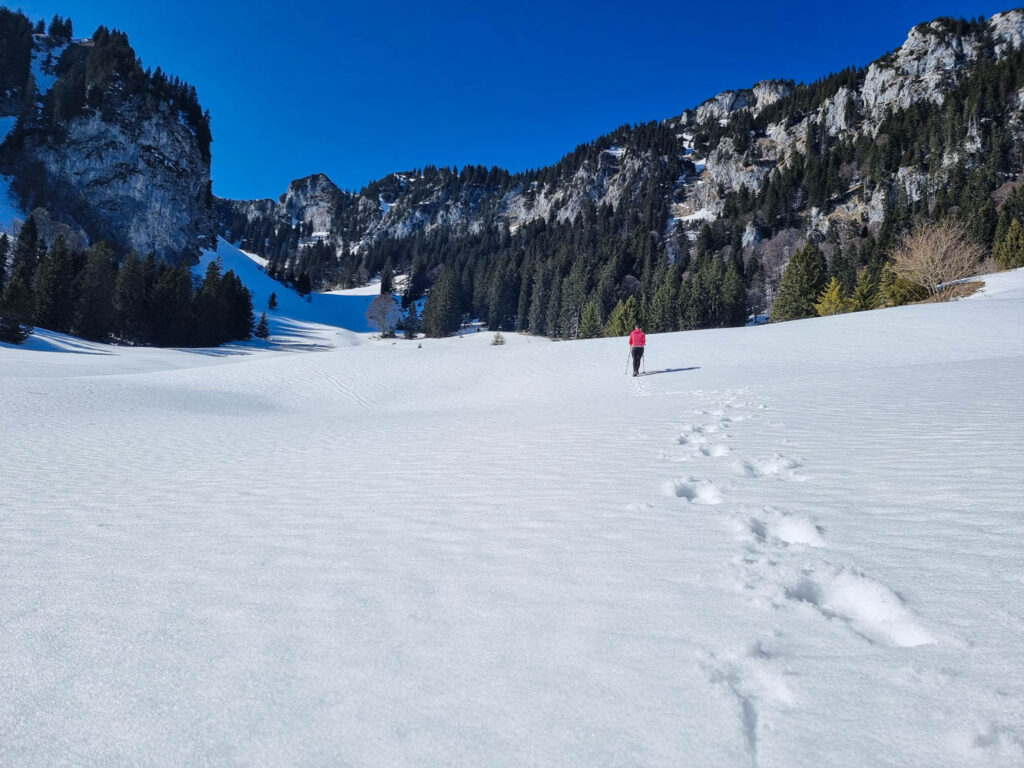 Im offenen Gelände, links der Beigenstein