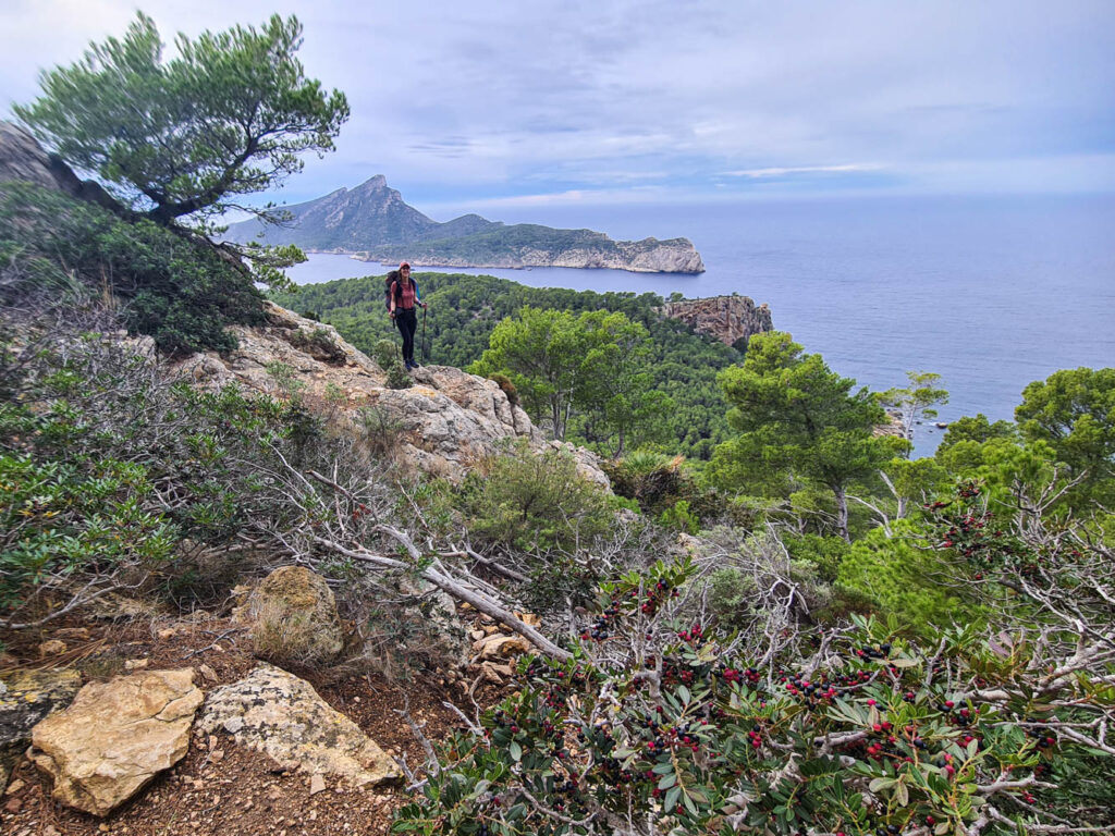 Blick auf die Insel Sa Dragonera