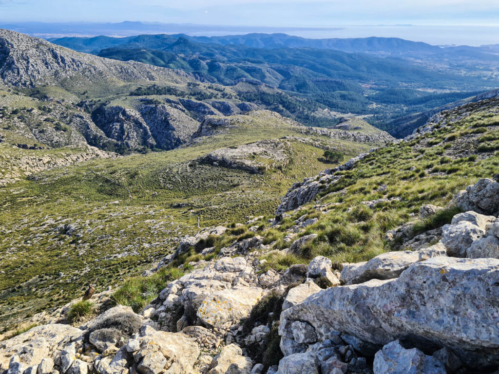 Blick in die weite Berglandschaft, mit Mönchsgeier unten links