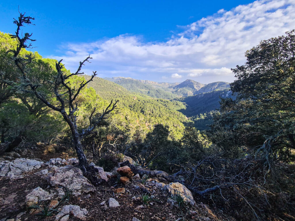 Aussicht auf die Berge im Landesinneren