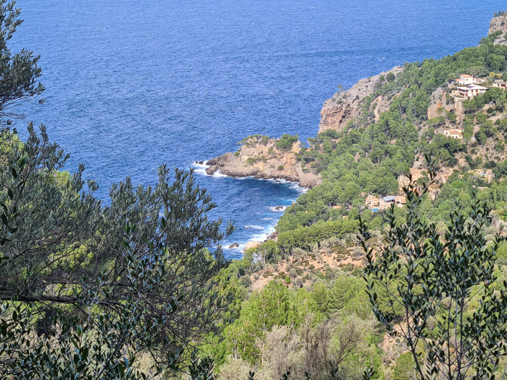 Blick zur Küste