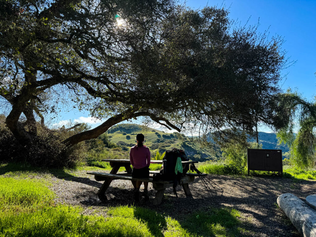 Black Jack Campground