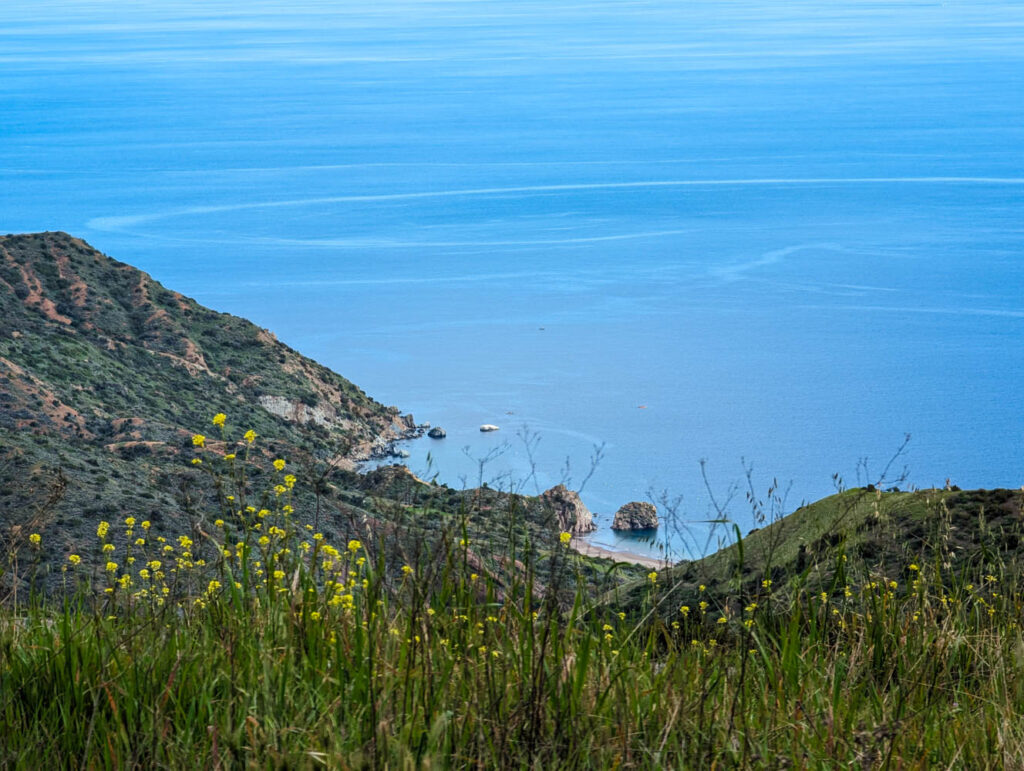 Weiterweg nach Avalon