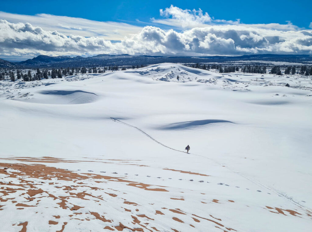 Coral Pink Sand Dunes State Park im Winter