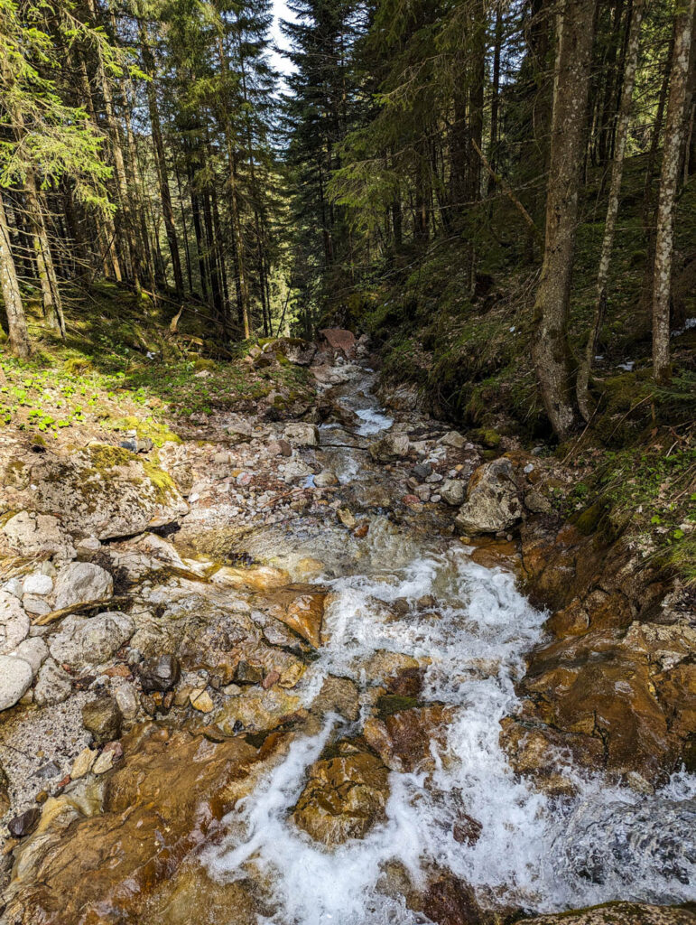 Bach beim Aufstieg