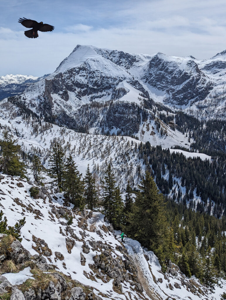 Blick auf den Schneibstein vom Jenner