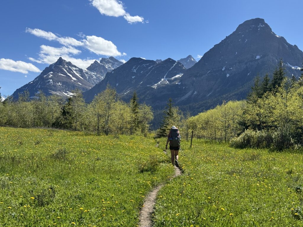 Erster Tag im Glacier National Park
