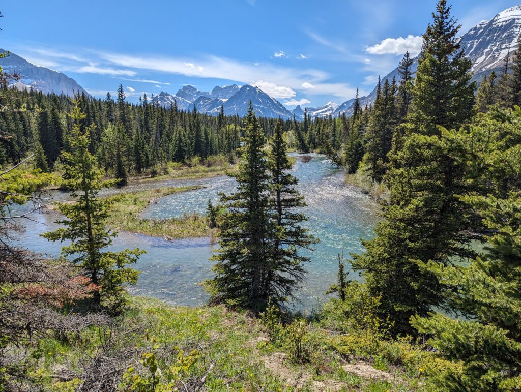 Erster Tag im Glacier National Park