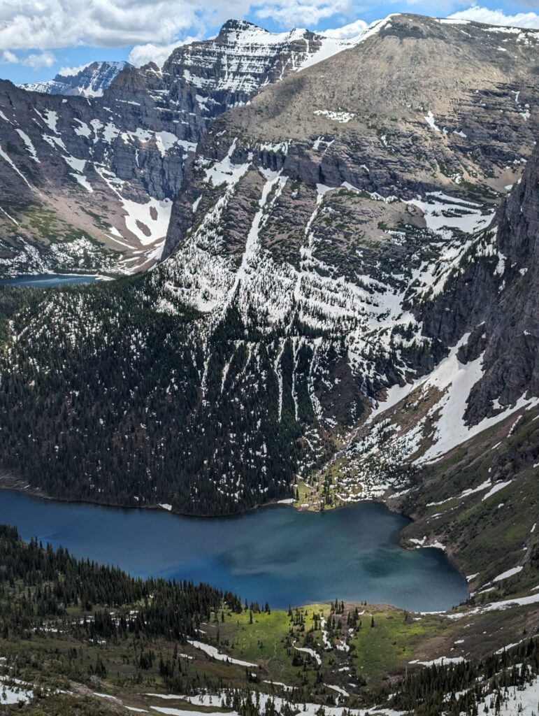 Grizzly Medicine Lake